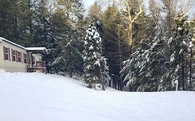 Tranquil Renovated House In Woods - Great For Families Year Around